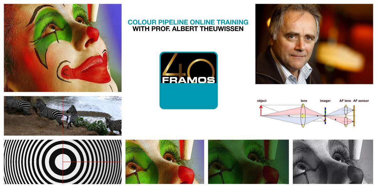 Online-Training von FRAMOS: “Colour Pipeline of a Camera”