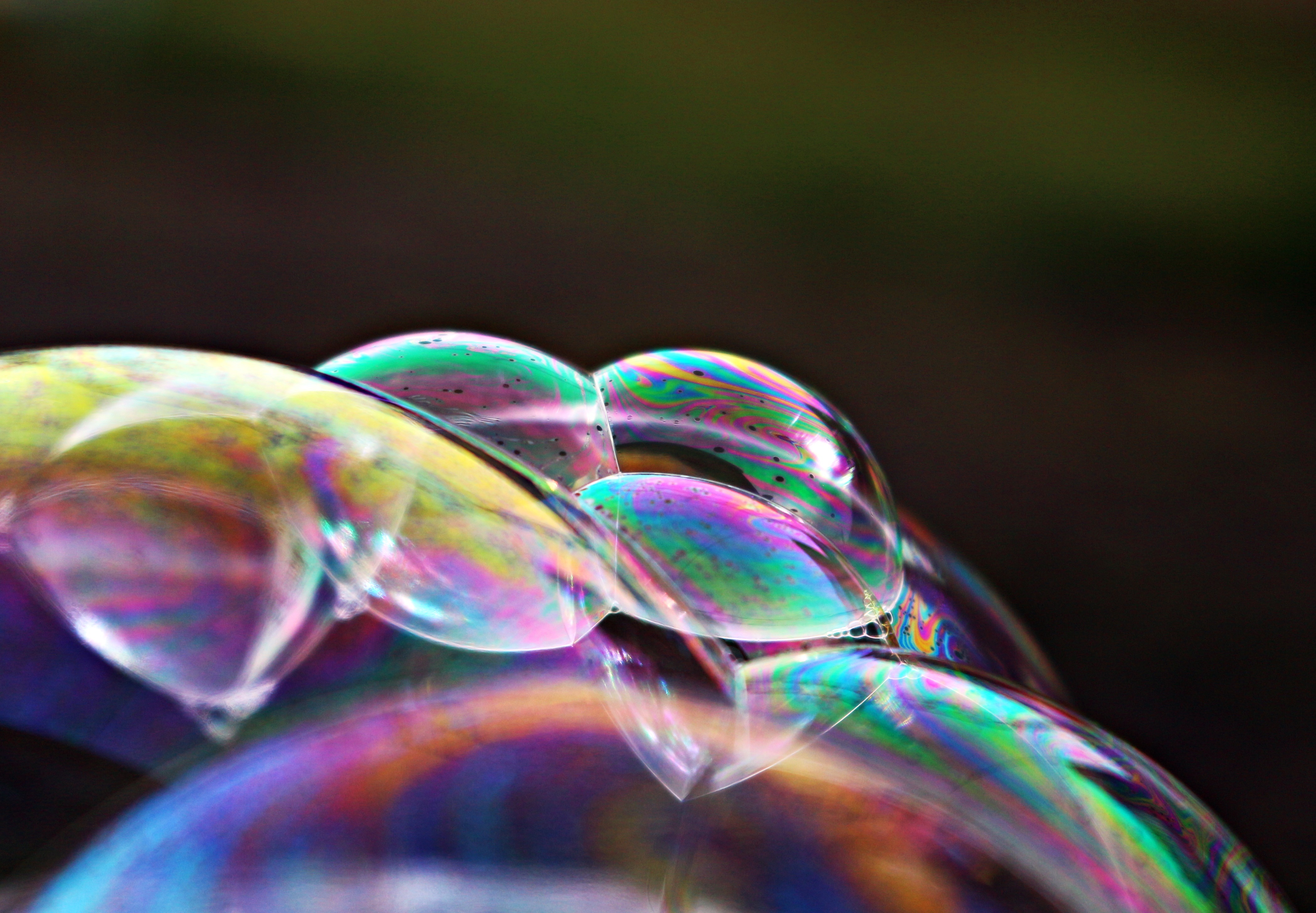 bubble-1891646
